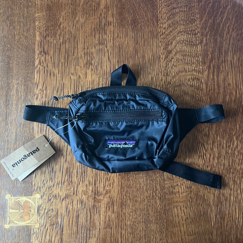 Patagonia fanny pack NWT